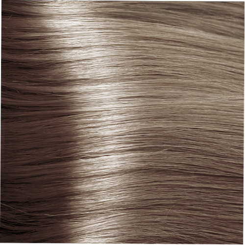 K-timeRADYCA  CLASSIC HAIR COLOUR 8.1 Світло-русявий попелястий