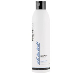 PROFIStyle Шампунь ANTI-DANDRUFF